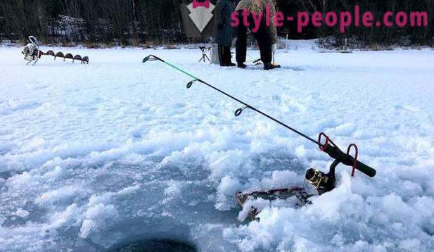 Jagd und Fischerei in der Region Perm: vor allem Angeln, Arten von Jagd und Fischerei