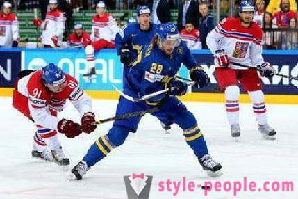 Tschechische Eishockeyspieler Martin Erat: Biografie und Karriere im Sport