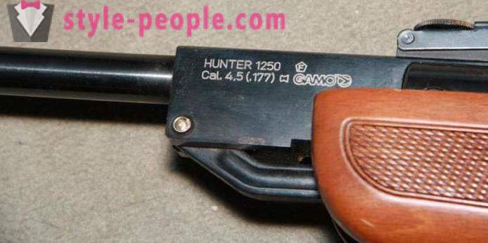 Luftgewehr Gamo Hunter 1250: Übersicht, Merkmale und Bewertungen
