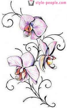 Bedeutung tattoo „Orchidee“