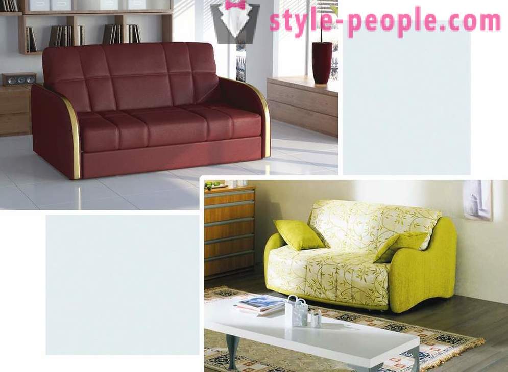 Wie man ein Sofa für Ihr Interieur wählen