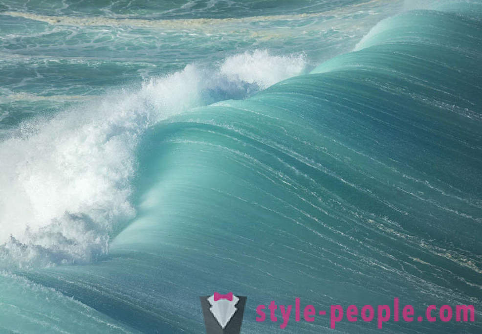 Extreme Surfer Sydney