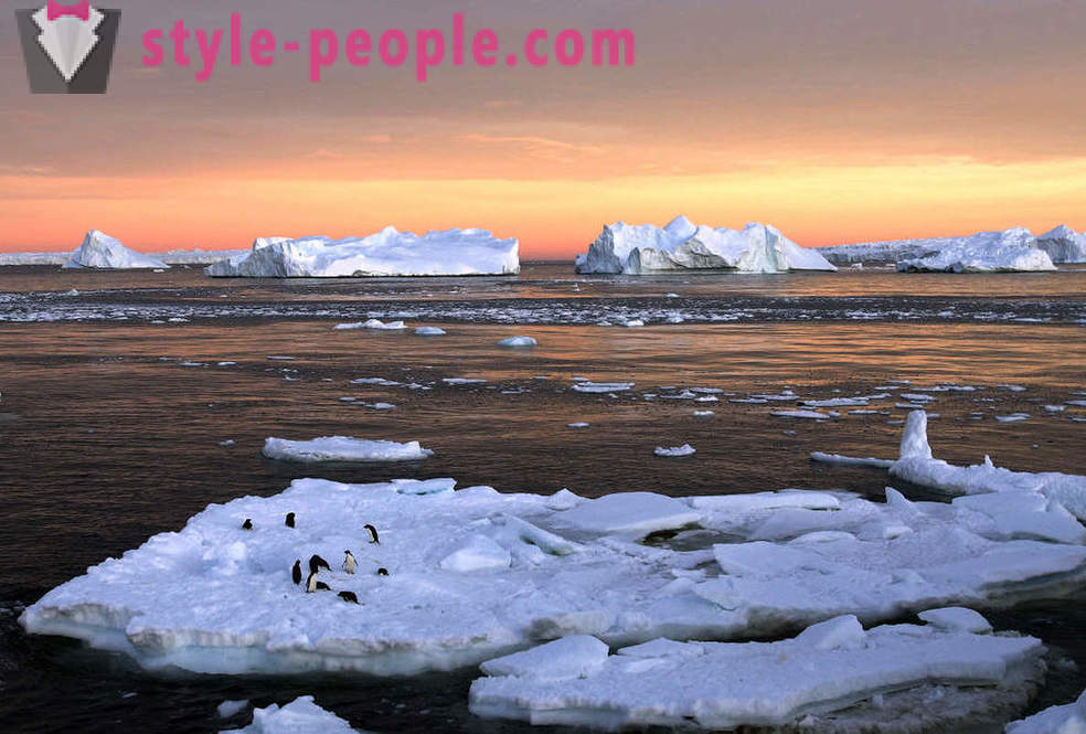 Fotoreise in die Antarktis