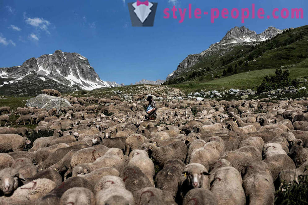 Das Leben der Hirten in den Alpen