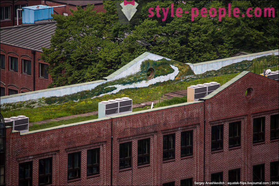 Wie der Beton-Dschungel in Seoul beleben