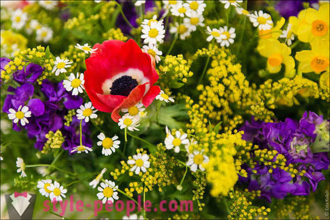Wie machen Blumensträuße für 8. März
