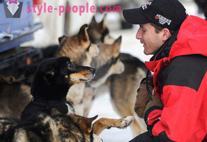 Schlittenhunderennen 2012 Iditarod