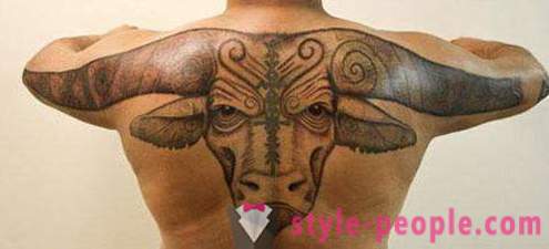 Tattoo „Bull“ - der Wert der Zeichnung auf dem Körper