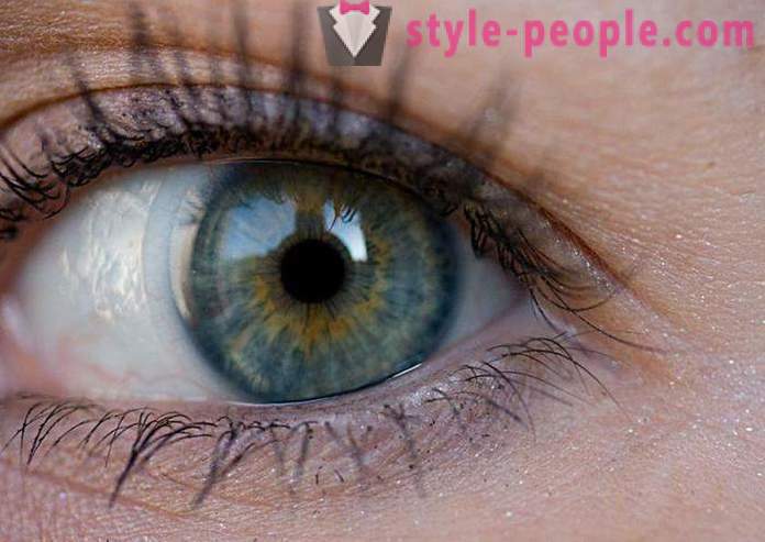 Swamp Augenfarbe. Was bestimmt die Farbe des menschlichen Auges?