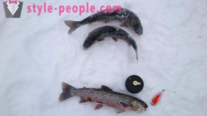 Fishers beachten Sie: Forellenfischen im Winter