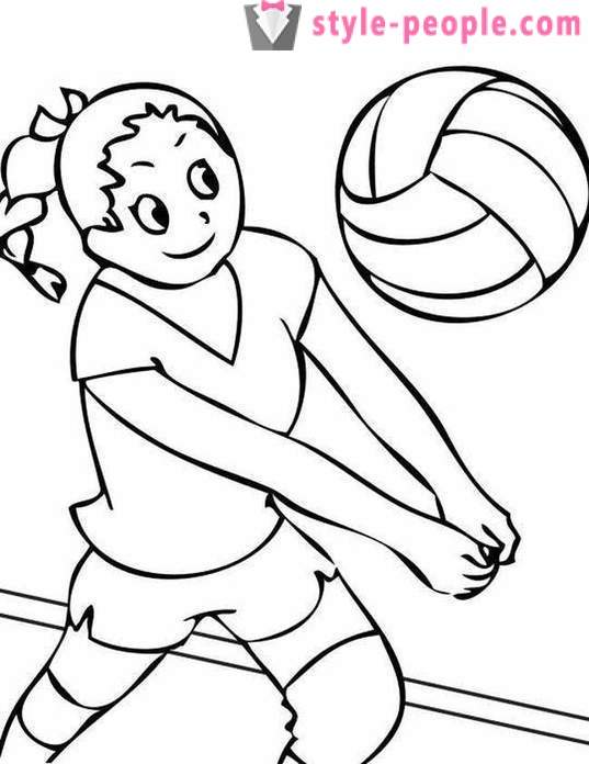 Die Grundregeln des Volleyball