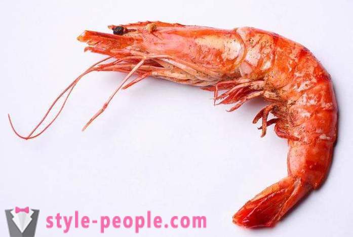 Shrimp: Kalorien und andere Funktionen